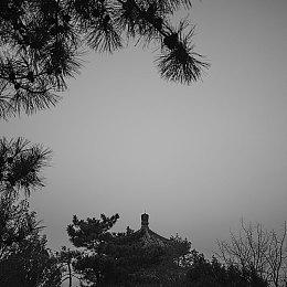 《美女，应接不暇》：5月15日，Steam上的美女互动与AI技术结合新玩法